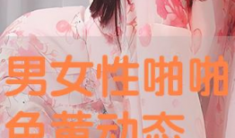 男女性动态视频,男女动态视频精彩回顾