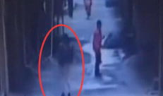 下载变态视频,变态视频背后的黑暗世界